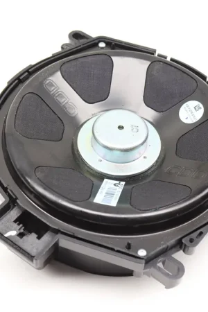 While Supplies Last BMW Central Speaker Subwoofer / Woofer (Hifi) (X6) 65139218698