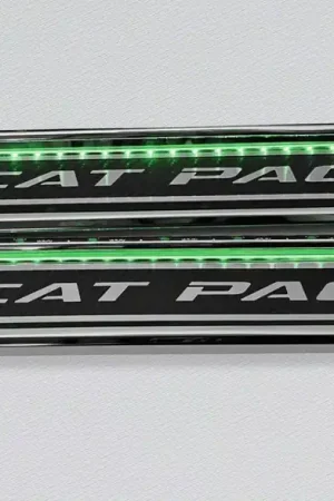 Authentic Illuminated Carbon Fiber Front Door Sills with Scat Pack Lettering; Green