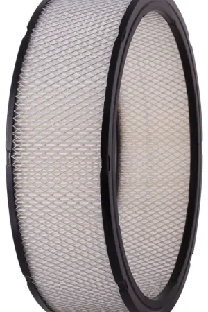 Weekend Sale Air Filter PA3181