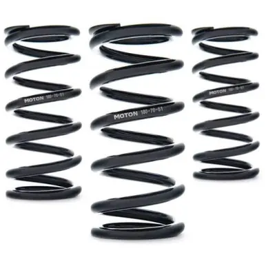 Low Price AST Linear Race Springs - 300mm Length x 35 N/mm Rate x 61mm ID - Set of 2 - AST-300-35-61